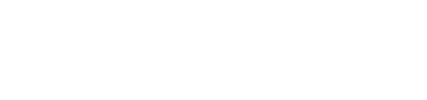Mora Global